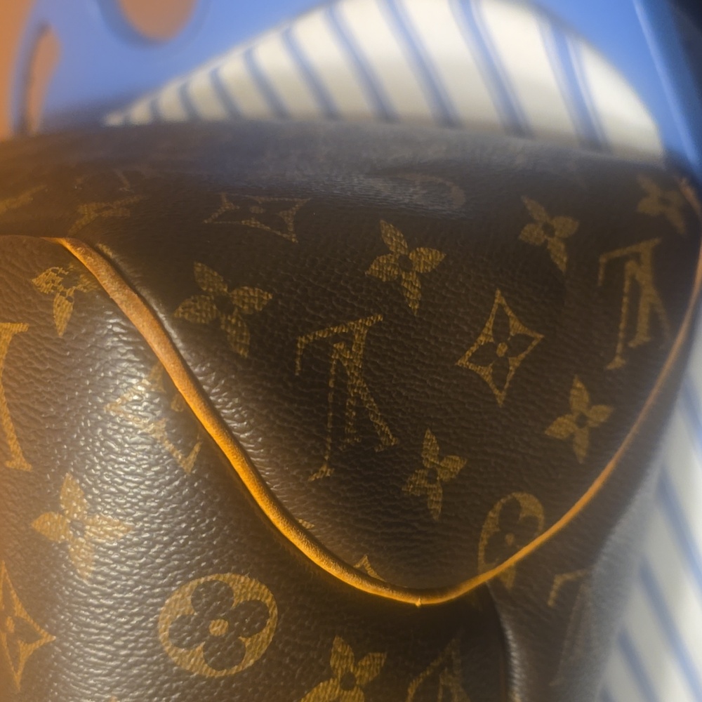 Louis Vuitton Monogram Delightful Bag in Brown and Tan Leather - Picture 8 of 14